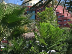 ���� ����� Delphin Palace Deluxe 5*