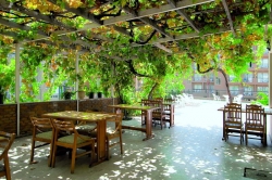 ���� ����� Prima Hotel 3*