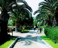 ���� ����� Pigale Beach Resort Kusadasi 3*