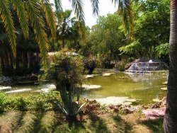 ���� ����� Akdeniz Mistral 4*