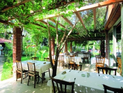 ���� ����� Alara West 3*