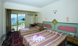 ���� ����� Flamingo Hotel 4*