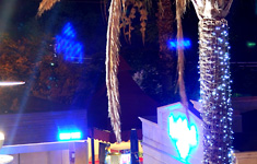 ���� ����� Grand Cettia Hotel 4*