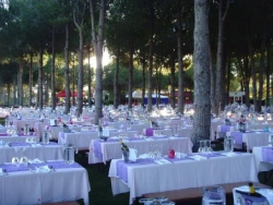 ���� ����� Robinson Club Nobilis 5*