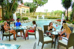 ���� ����� Iberostar Bellis Hotel 5*