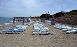 ���� ����� Millennium Palace 4*