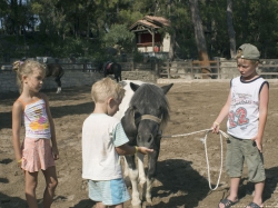 ���� ����� Naturland Country Park & Resort 5*