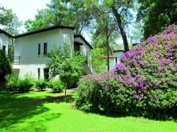 ���� ����� Nurol Club Salima ( Club Salima) HV-1*