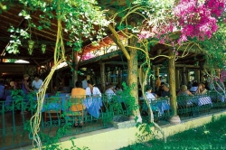 ���� ����� Paloma Club Sultan Beldibi 4*