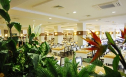 ���� ����� Rose Residence Beach 5*