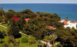 ���� ����� Royal Palm Resort 5*
