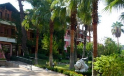���� ����� Sea Gull Hotel 4*