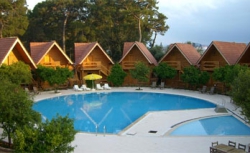 ���� ����� Woodline Village HV-2 4*