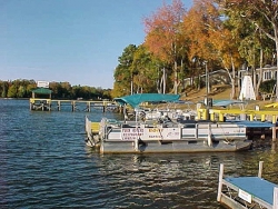 ���� ����� Greenwood Resort 4*