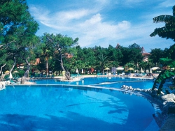 ���� ����� Marti Myra HV-1*