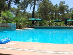 ���� ����� Paloma Renaissance 5*