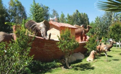 ���� ����� Alba Resort Hotel 5*