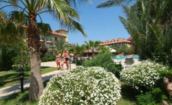 ���� ����� Alba Resort Hotel 5*