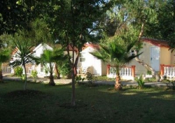 ���� ����� Altinkum Bungalows 3*