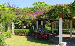 ���� ����� Club Aldiana Side HV-1*