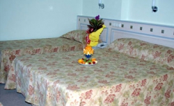 ���� ����� Narcia Resort Side (ex.Club Hotel Vega Side) 3*