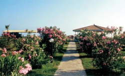 ���� ����� Club Serena Beach 4*