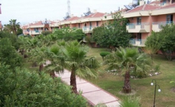 ���� ����� MIR SIDE TROPIC HOTEL 4*