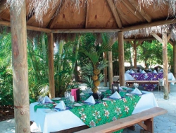 ���� ����� Calypso Beach 4*