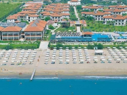 ���� ����� Club Nena HV-1*