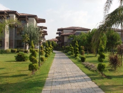 ���� ����� Iberotel Serra Palace 5*