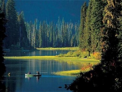���� ����� Washington Resort 5*