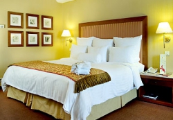 ���� ����� Athens Ledra Marriott Hotel 4*