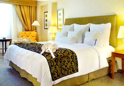 ���� ����� Athens Ledra Marriott Hotel 4*