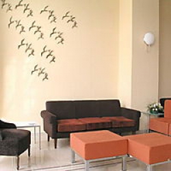 ���� ����� Avra Hotel Rafina 4*