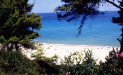 ���� ����� Alexander The Great 4*