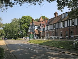 ���� ����� Forest Park 3*