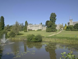 ���� ����� Forest Park 3*