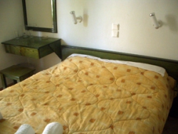 ���� ����� Villa Cariatis 3*