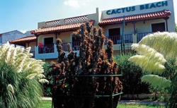   Cactus Beach Hotel 4*