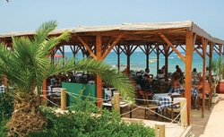 ���� ����� Cactus Beach Hotel 4*