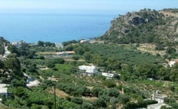 ���� ����� Eden Rock Hotel 4*