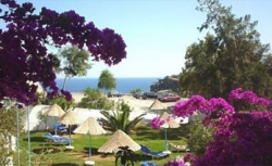 ���� ����� Eden Rock Hotel 4*
