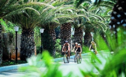 ���� ����� Malia Park Hotel 4*