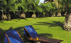 ���� ����� Minos Mare Hotel 4*