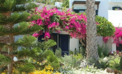 ���� ����� Nana Beach Hotel 4*