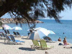 ���� ����� Palm Bay 4*