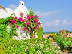 ���� ����� Aquis Zorbas Village 4*