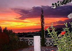 ���� ����� Arion Palace Hotel 4*