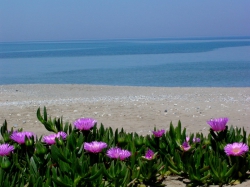���� ����� Orpheas Resort 4*