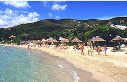���� ����� Delfinia Hotel 4*